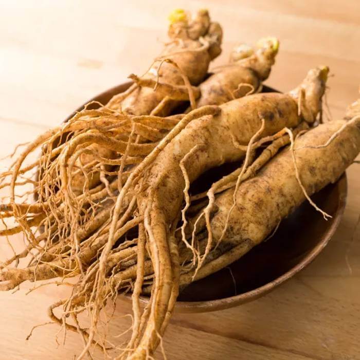 Extracto de raíz de ginseng
